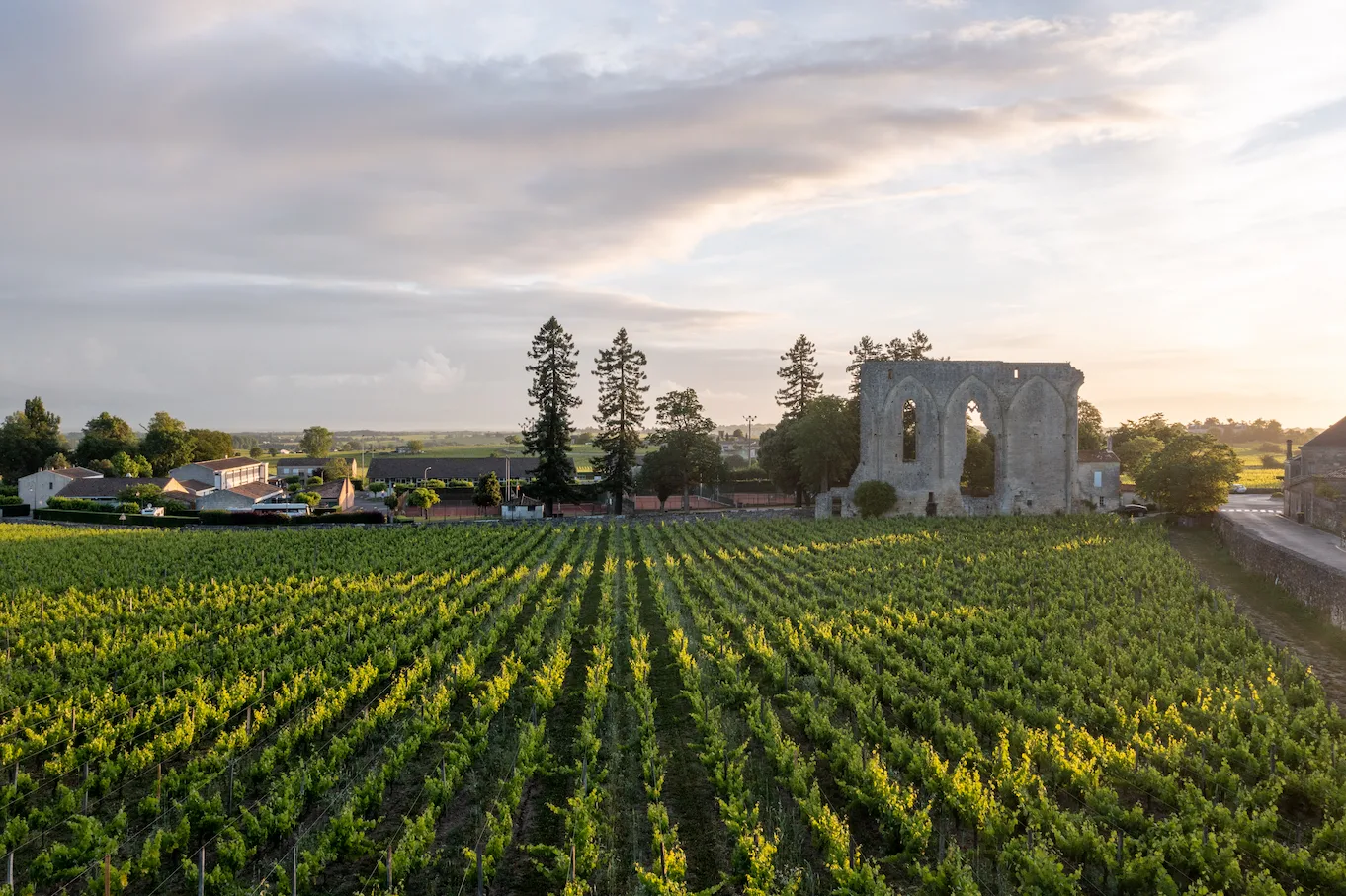 Bordeaux, France, reviews by Anjelika Lours' Kour @globalnewyorker