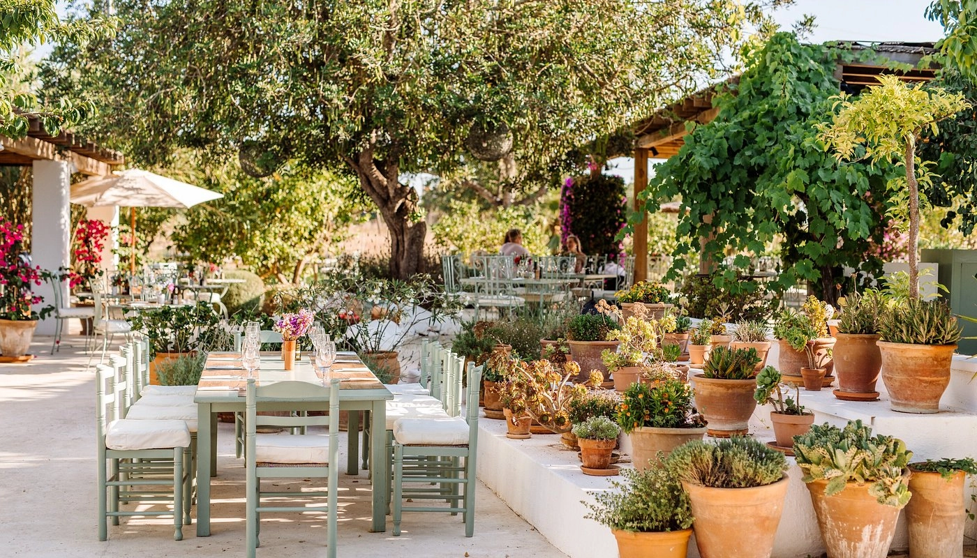 Aubergine Ibiza