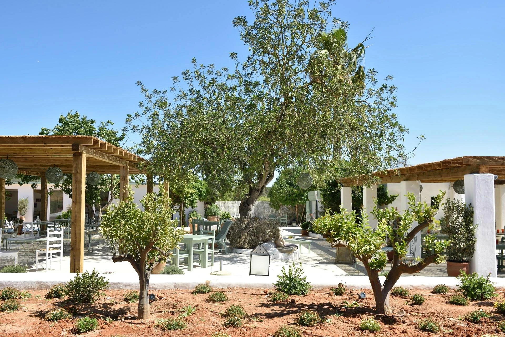 Aubergine restaurant in Ibiza, Spain, reviews by Anjelika Lours' Kour @globalnewyorker